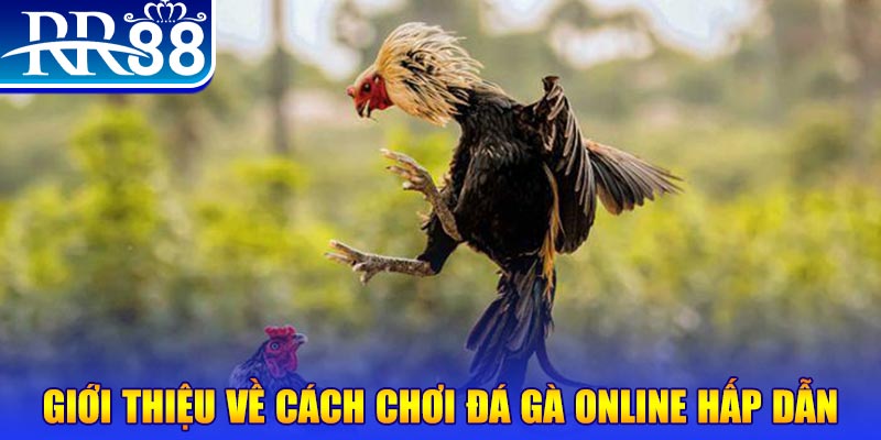viva88net casino TRỰC TUYẾN