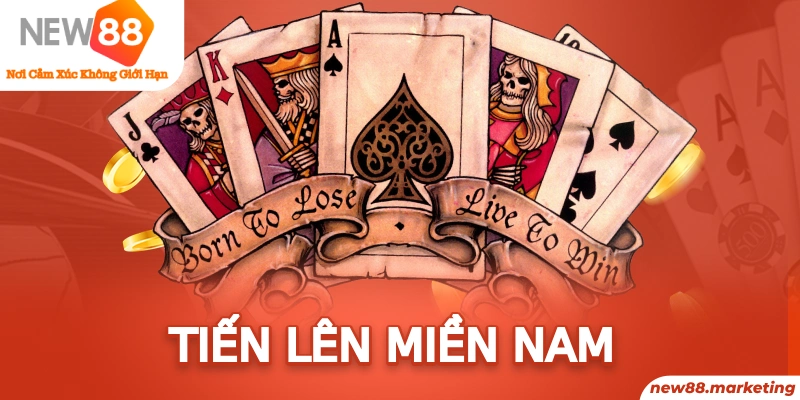 79 king sòng bạc Đăng ký
